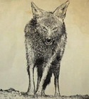 Bornet
